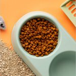 Lumb flavored dry food