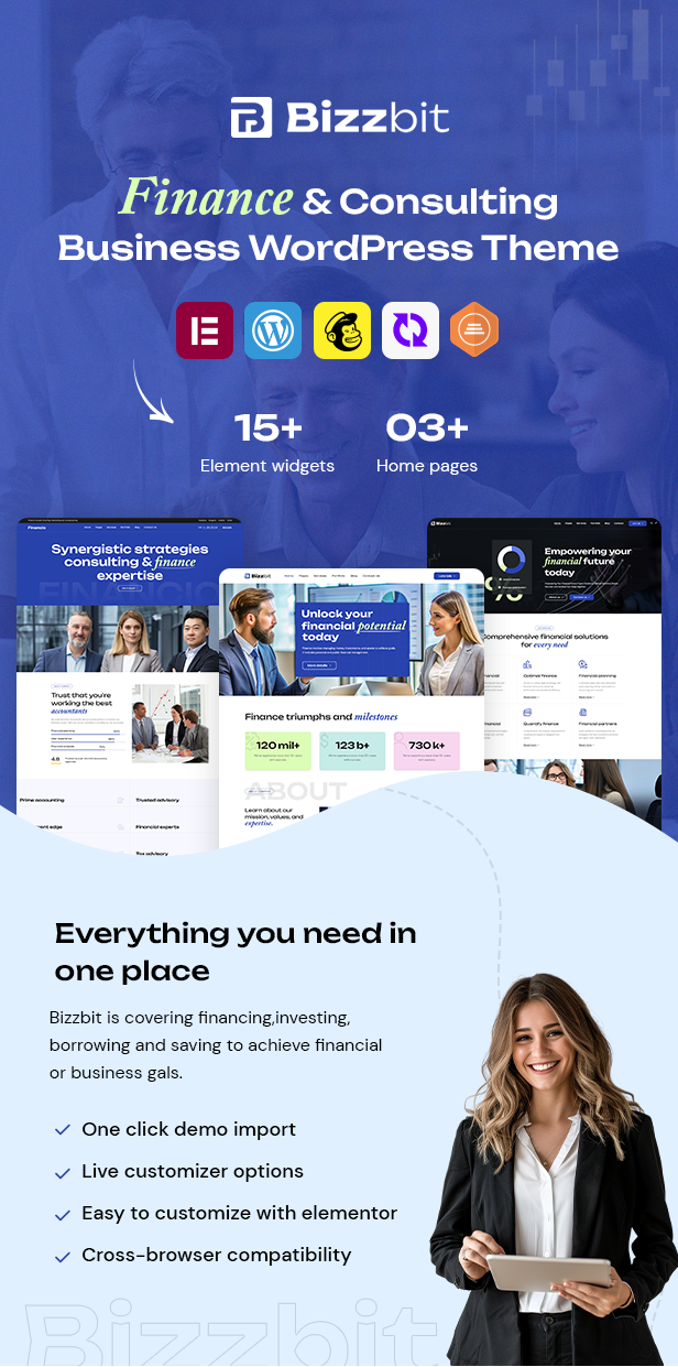 Finance and Business WordPress Theme