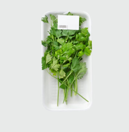 Coriander