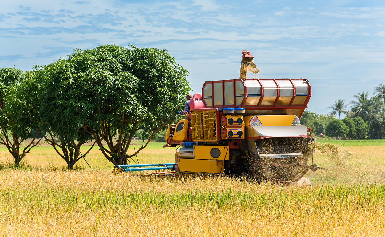 Farm forward investments