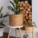 Trending small coffee table