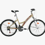 The 100% Human Tee Medium