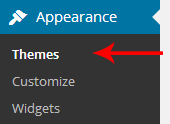 Select Theme Option