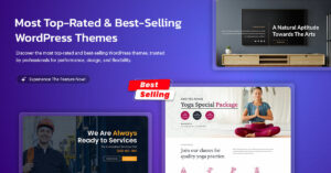 WordPress Theme
