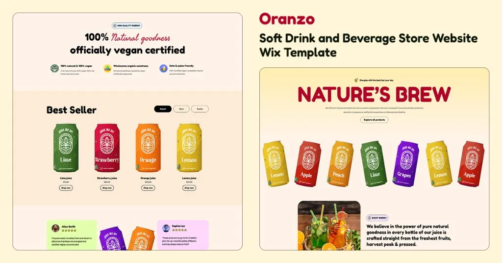 Oranzo- Soft Drink and Beverage Store Website Wix Template