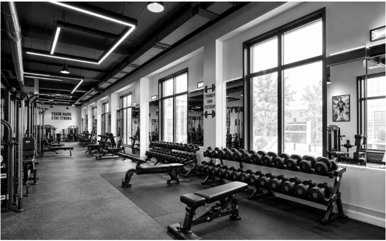 Fitness Business By ThemetechMount